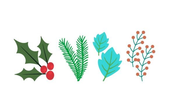Christmas Plant Vector Illustrations Review