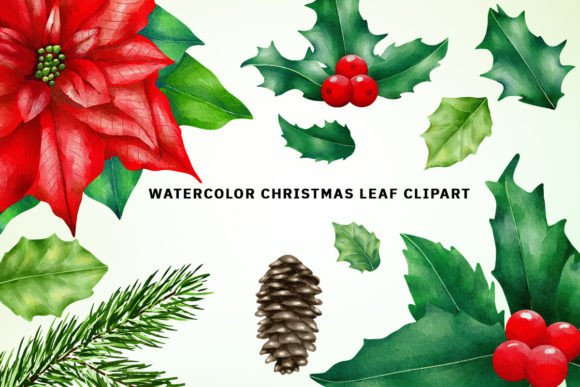 Watercolor Christmas Leaf Clipart for Illustrations